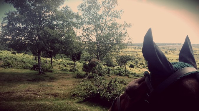 Doesn't get much better than this. 