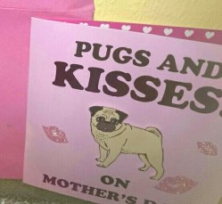 pugsandkisses